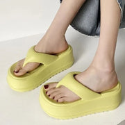 Fuji Top Summer Slippers