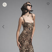 Wild Instincts Curve Dress