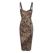 Wild Instincts Curve Dress