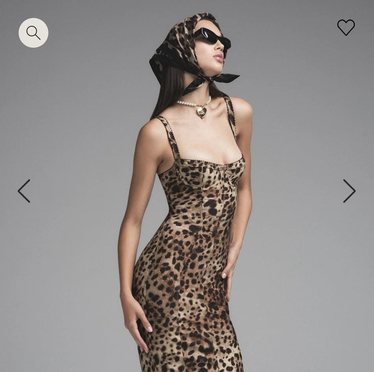 Wild Instincts Curve Dress