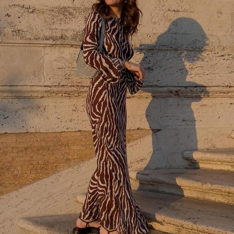 Izzy Zebra Print Dress – BASSO